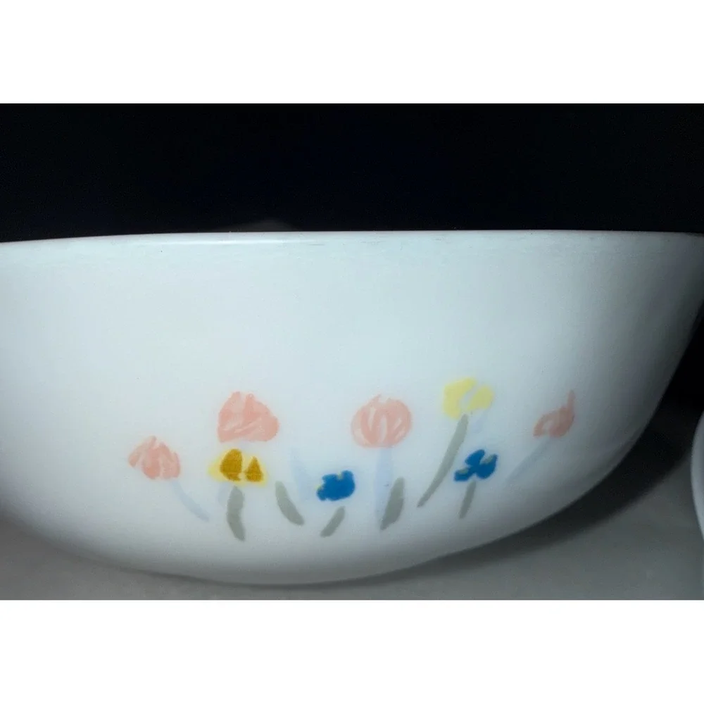 Arcopal Coupe Cereal Bowl Pastoral‎ Set 4 White 6